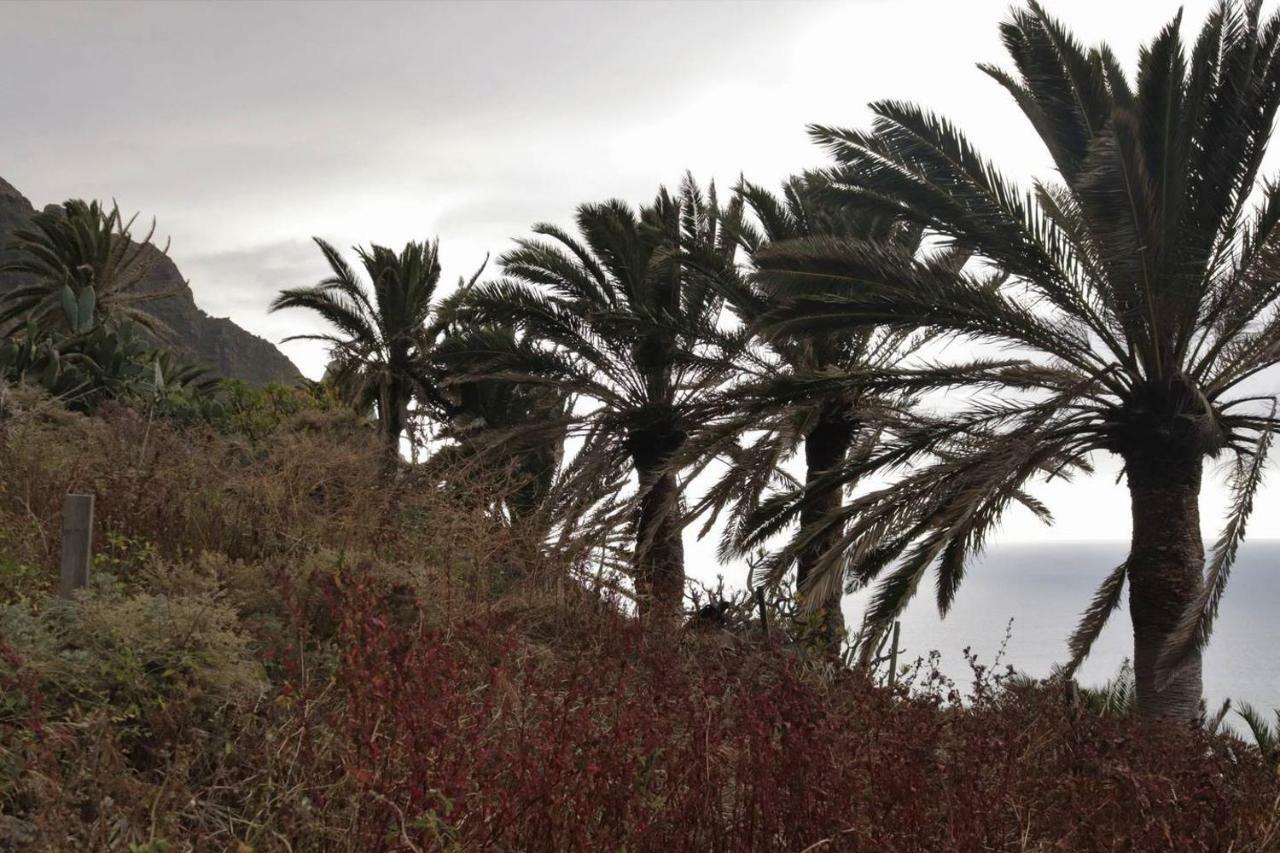 Oasis Atlantico: Rincon Secreto Al Pie De Los Senderos Azano Eksteriør bilde